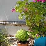 Summer Garden - Village Location Apartman Koróni