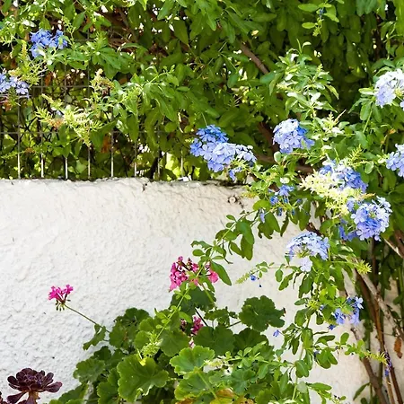 Summer Garden - Village Location 公寓 *