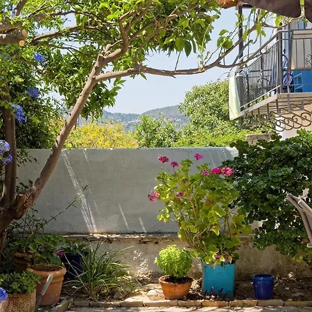 Summer Garden - Village Location Koróni