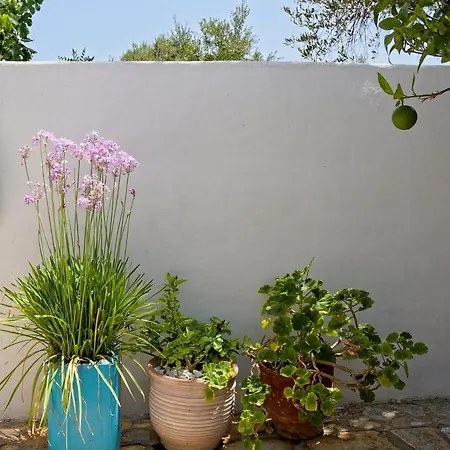 Summer Garden - Village Location Koróni