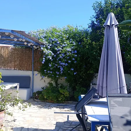 Summer Garden - Village Location