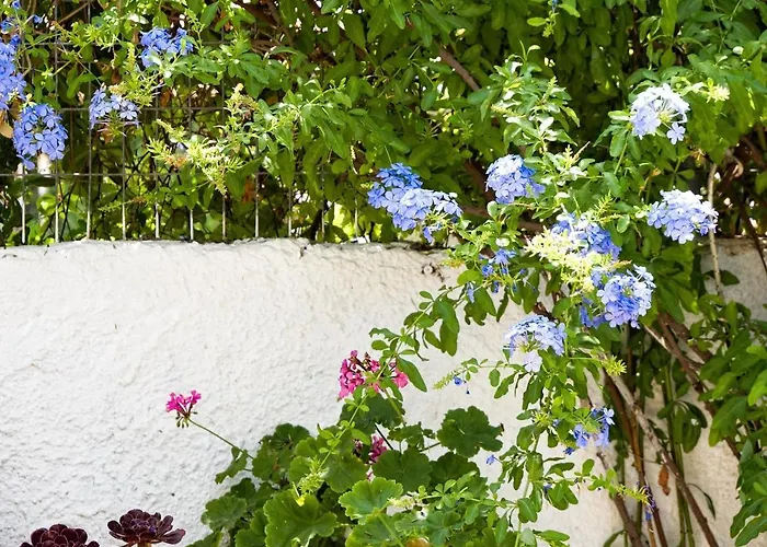 Summer Garden - Village Location Apartamento *