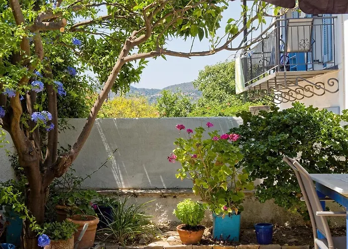 Summer Garden - Village Location Koróni