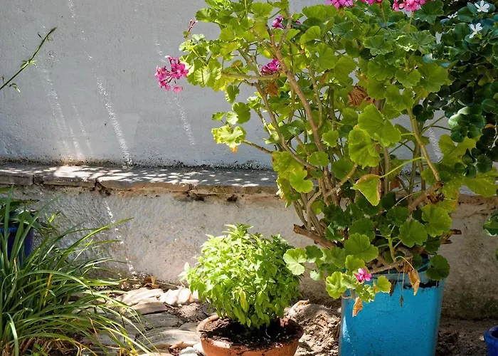 Summer Garden - Village Location Apartment Koróni