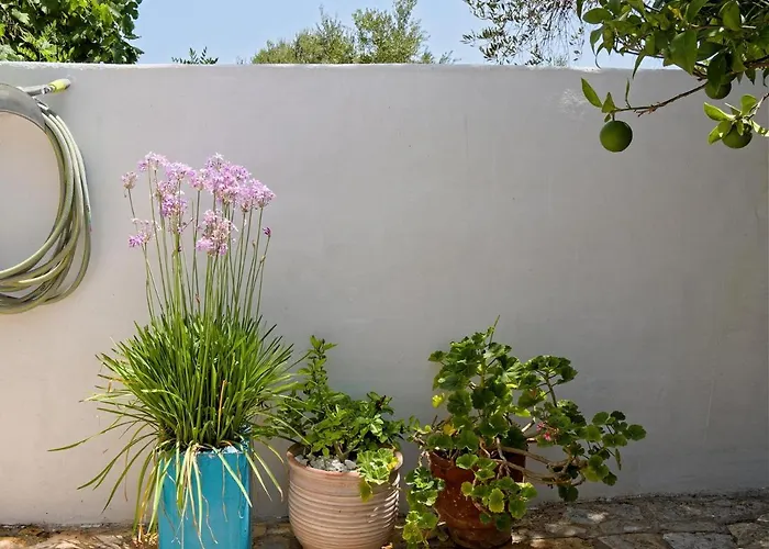 Summer Garden - Village Location Koroni (Messinia)